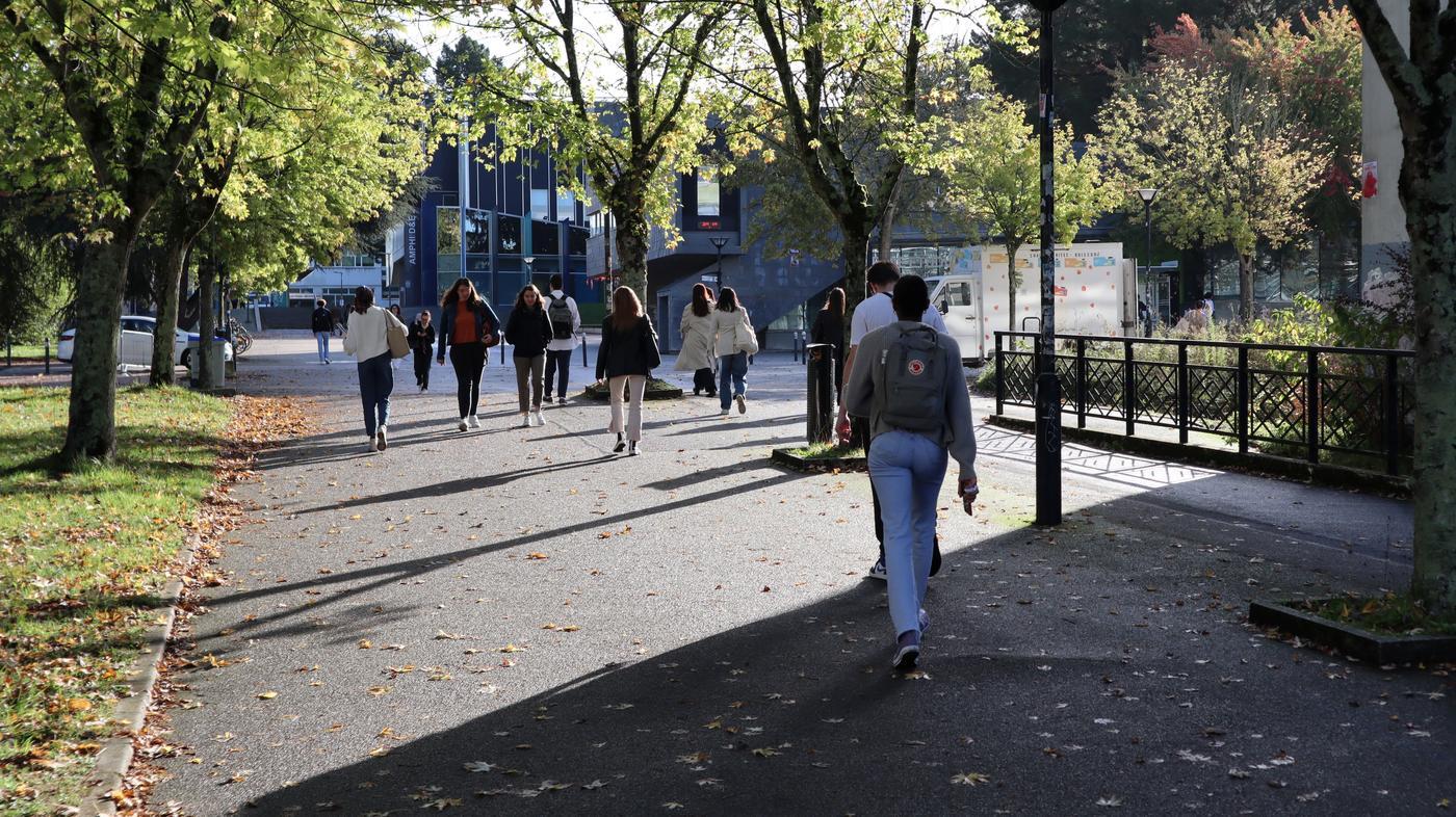 Étudiants marchant sur un campus universitaire en automne